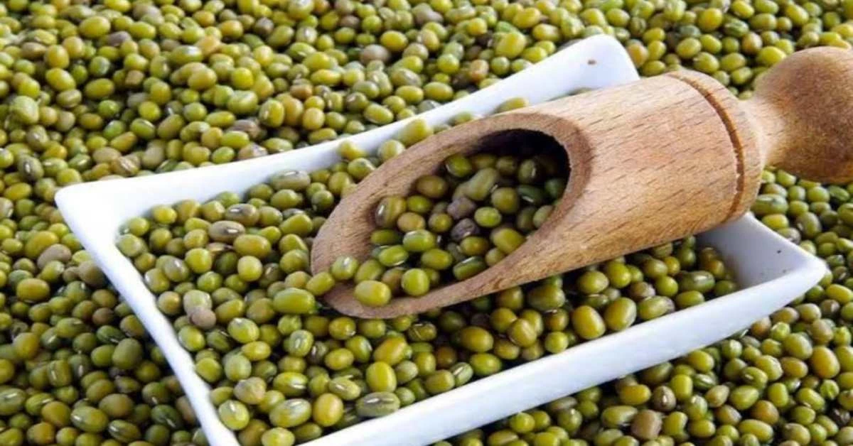 मूंग खरीदी प्रतिबंध विवादः किसान संघ सरकार के खिलाफ बोलेंगे हल्ला, संघ ने उठाया सवाल- केंद्र राजी तो राज्य सरकार को किस बात का ऐतराज